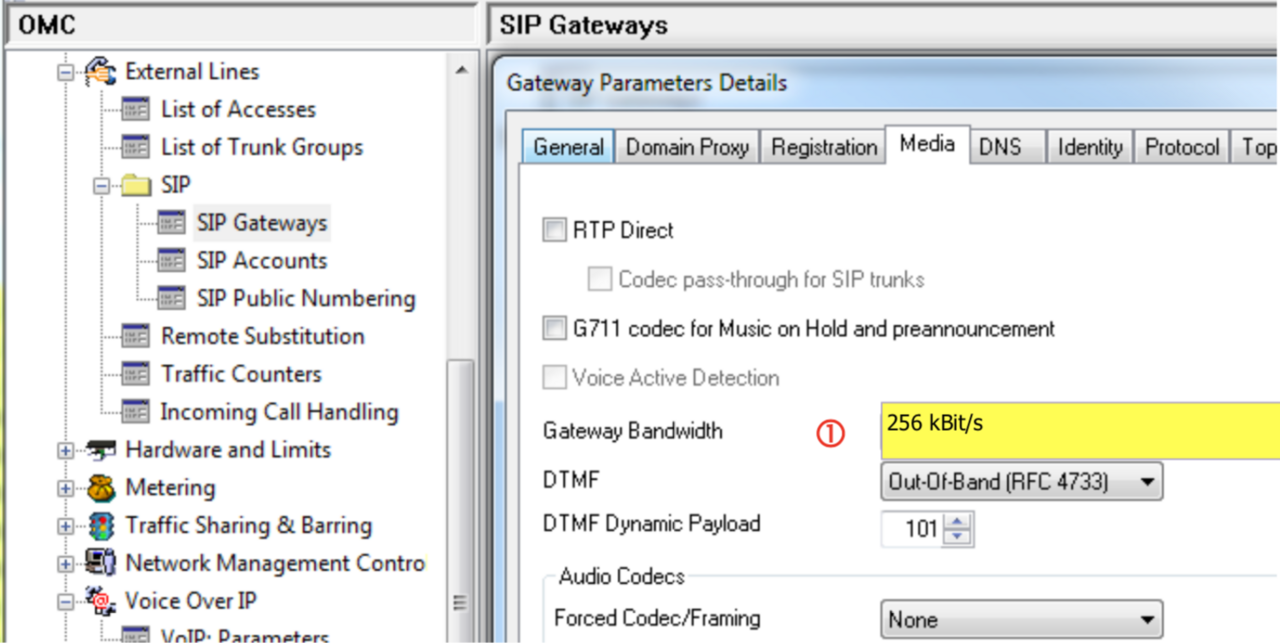 A L E O X O Connect 21 Gateway Parameters